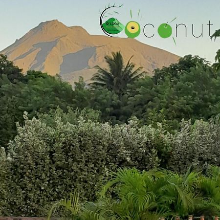 O Logis Du Morne Jacob "Coco", Le Morne-Rouge Martinique Διαμέρισμα Εξωτερικό φωτογραφία