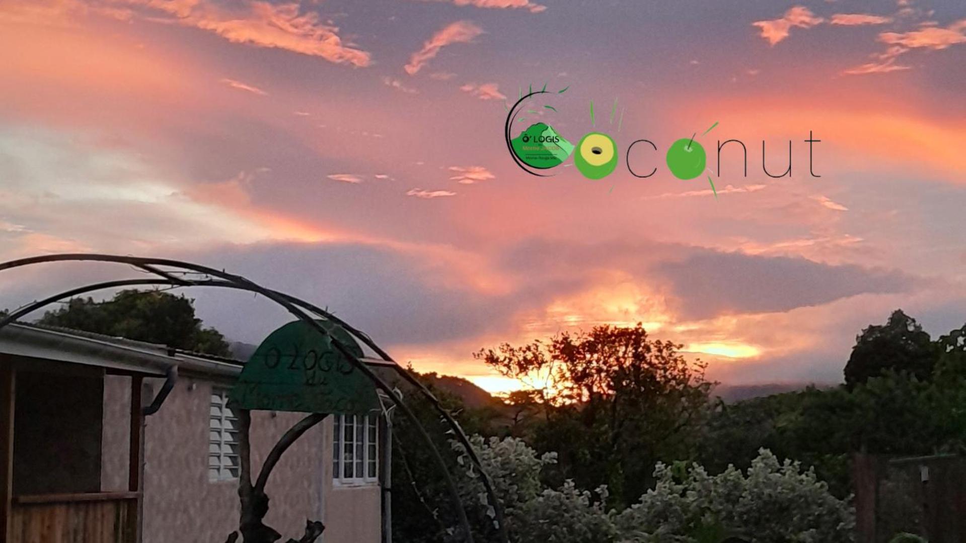 O Logis Du Morne Jacob "Coco", Le Morne-Rouge Martinique Διαμέρισμα Εξωτερικό φωτογραφία