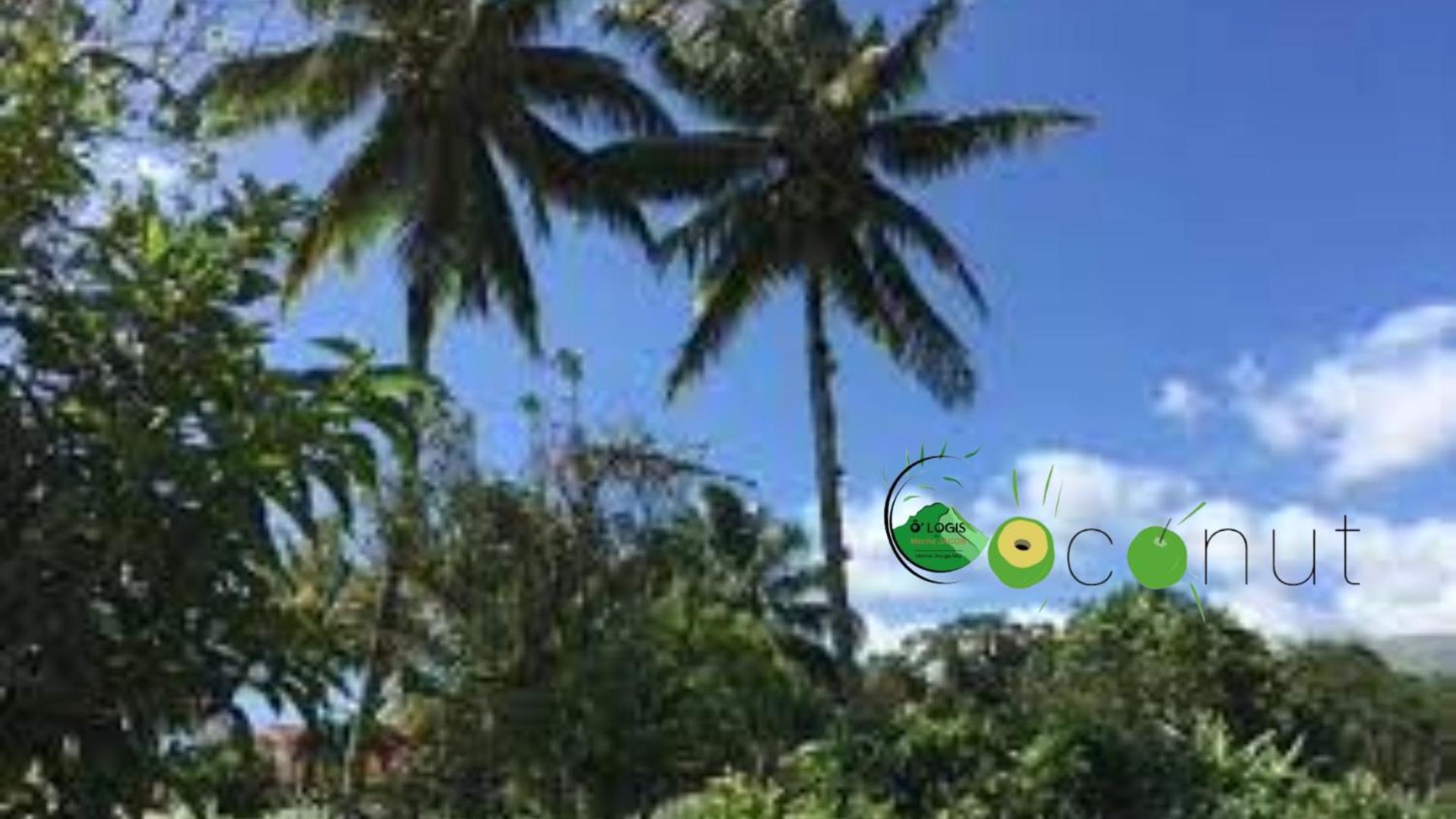 O Logis Du Morne Jacob "Coco", Le Morne-Rouge Martinique Διαμέρισμα Εξωτερικό φωτογραφία