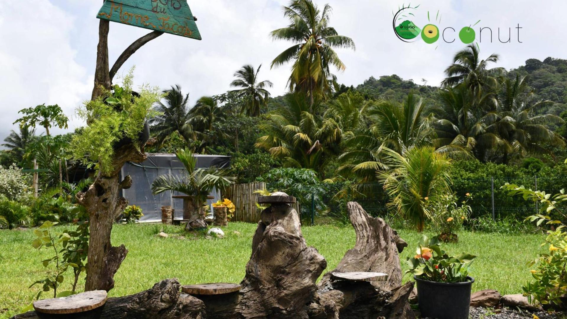 O Logis Du Morne Jacob "Coco", Le Morne-Rouge Martinique Διαμέρισμα Εξωτερικό φωτογραφία