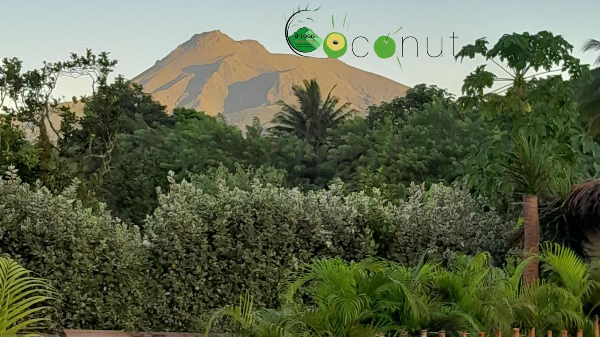 O Logis Du Morne Jacob "Coco", Le Morne-Rouge Martinique Διαμέρισμα Εξωτερικό φωτογραφία
