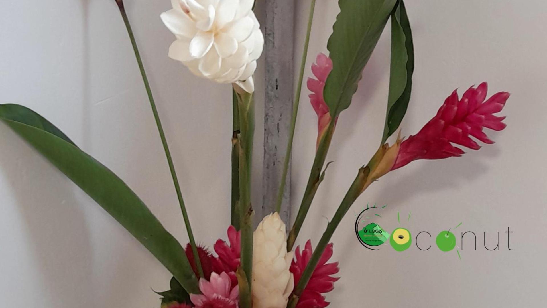 O Logis Du Morne Jacob "Coco", Le Morne-Rouge Martinique Διαμέρισμα Εξωτερικό φωτογραφία